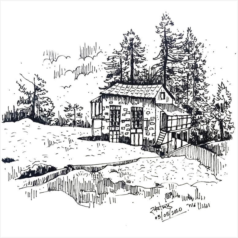 Image 7