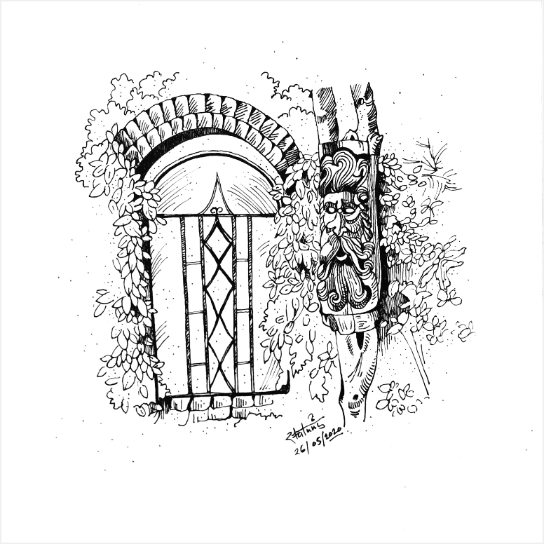 Image 19