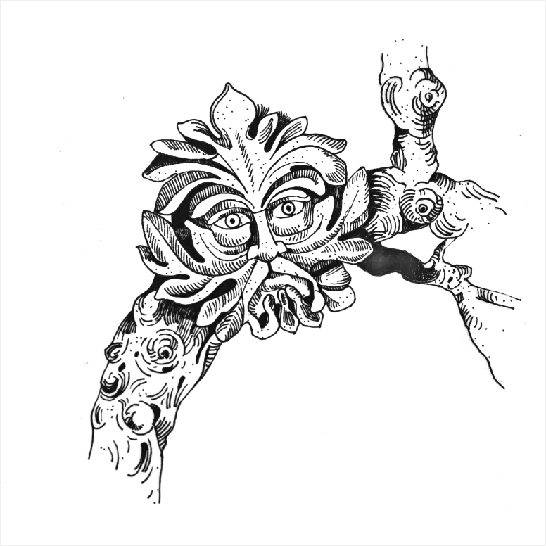 Image 20