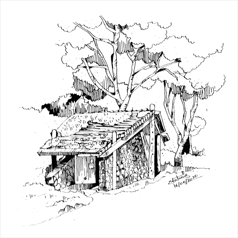Image 31
