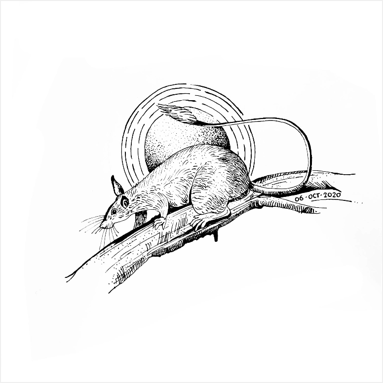 Image 54
