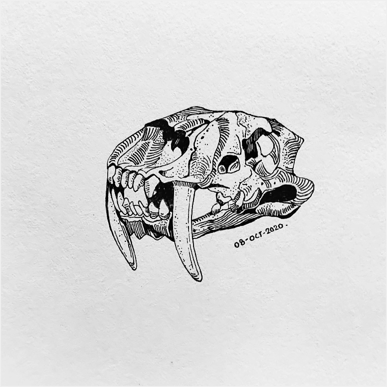 Image 55